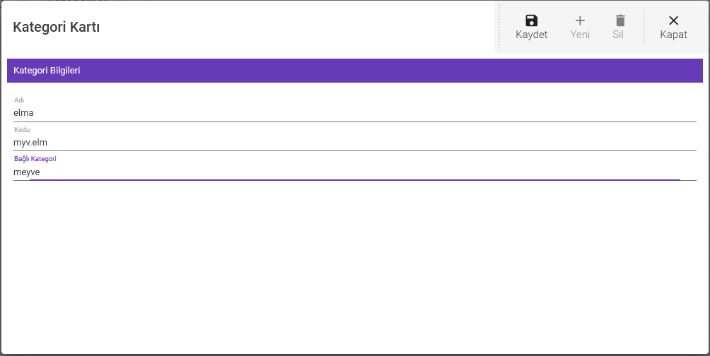 Kategori tanım ekranı