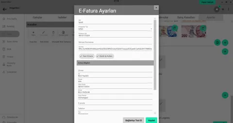 e-fatura entegratör ayarları